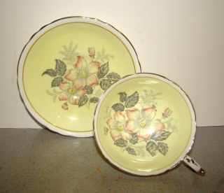 Paragon Cup & Saucer W/ Pink Wild Roses On Yellow