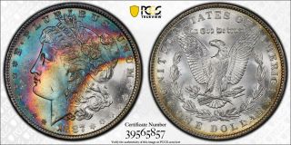 1887 - P Morgan Dollar Pcgs Ms65 Cac Gorgeous Colorful Rainbow Toned