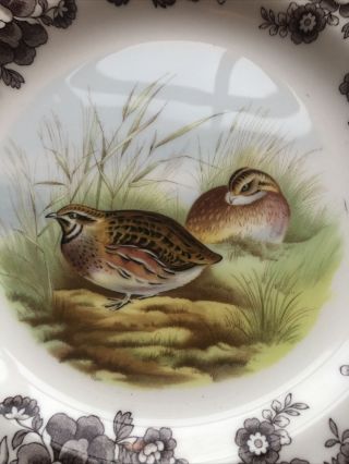 Spode Woodland Quail Game Bird England Dinner Plate 10 3/4 2
