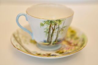 Vintage Shelley Woodland Fine China Tea Cup & Saucer