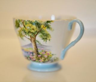 Vintage Shelley Woodland Fine China Tea Cup & Saucer 2