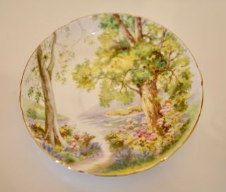 Vintage Shelley Woodland Fine China Tea Cup & Saucer 3