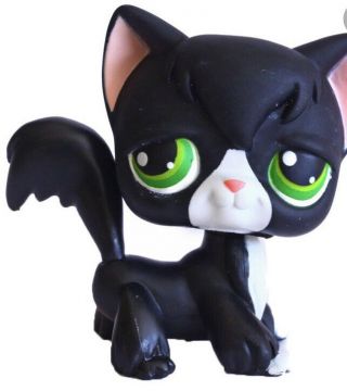 Littlest Pet Shop 55 Black Tuxedo Long Hair Cat Green Eyes Figure Mini