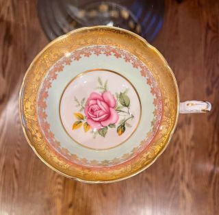 Paragon By Appointment To The Queen Cabbage Rose And Gilt Bone China Teacup