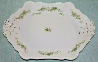 Vintage Johnson Bros England Serving Plate Platter Floral Leaf Pattern 14 X 10 "