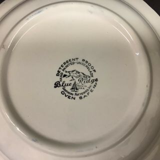 Blue Ridge Porcelain Bowl,  Blue,  9 
