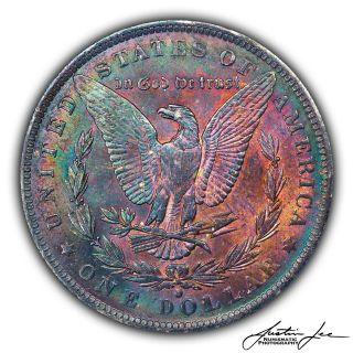 1884 - O Morgan Silver Dollar Ngc Ms62 Rainbow Toned