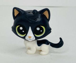 Littlest Pet Shop Lps Inkwell Felinsky Cat Kitty Black & White 320