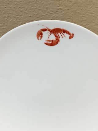 Studio Nova Lobster Red Salad Plate Y0723 8 - 1/4 