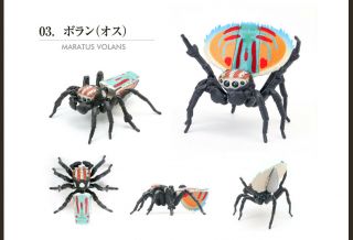 The Diversity Of Life On Earth Peacock Spider Bandai Gashapon Maratus Volans