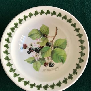 Portmeirion Pomona 6.  75 " Rimmed Cereal Bowl Wild Blackberry Green Leaf Border