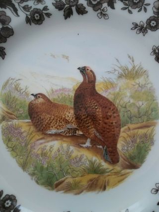 Spode Woodland Red Grouse Game Bird: Salad/Appetizer/Show Plate Made in England 3