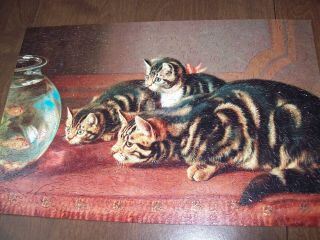 Peaceful Wooden Puzzle - Cats Watching Fish In A Fishbowl - Liberty