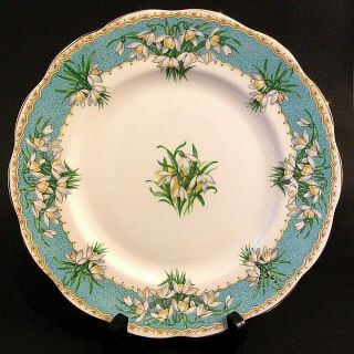 Queen Anne Salad Plate Marilyn Snowdrop 8 1/4 " English Bone China