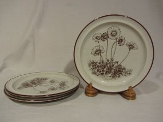 Noritake Stoneware " Desert Flowers " Salad Plates - Set Of 3