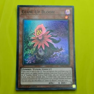 1996 | Yugioh | Glow - Up Bloom | Rare Holo | 1st Edition Yugioh Nm 6