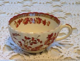 Spode China Vintage India Tree Rust/orange Flat Bottomed Cup