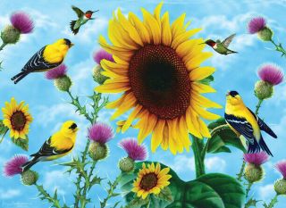 Sunsout Sunflowers And Songbirds 500,  Pc Large Piece Jigsaw Puzzle