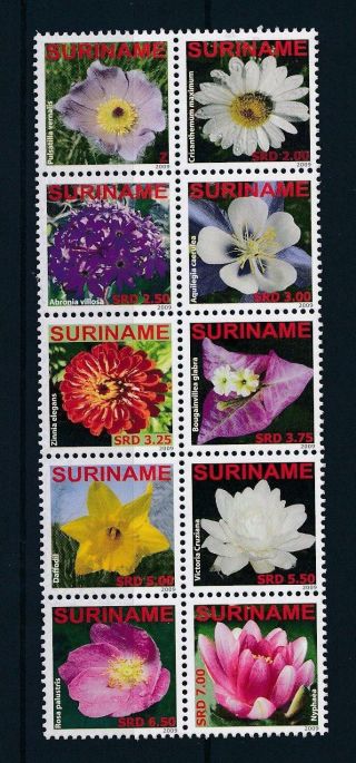 [su1669] Suriname Surinam 2009 Flora Flowers Blumen Mnh