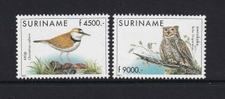 Suriname - 2001,  Birds Set - Mnh - Sg 1904/5