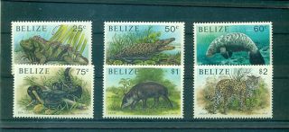 Belize - Sc 963 - 8.  1991 Local Wildlife.  Mnh.  $18.  50.