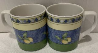 Set Of 2 Royal Doulton Carmina Tc 1277 Coffee/ Tea Mugs 3 5/8 " Tall