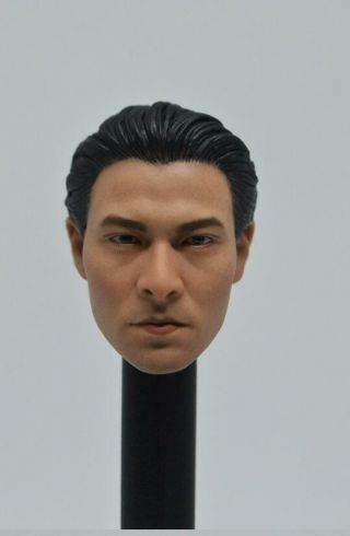 1/6 Scale Andy Lau Head Sculpt Lau Tak Wah Model For Figure Body