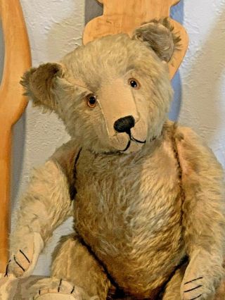 Vintage Steiff 22 " Inch Mohair Teddy Bear " Kid Sheriff " Cute