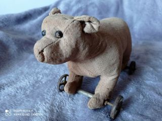 Early Possible Steiff Bear With Wheels 22x13 Cm