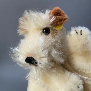 Steiff Foxy Terrier Dog Hand Puppet 1968 - 78 German Button Mohair Airedale Toy