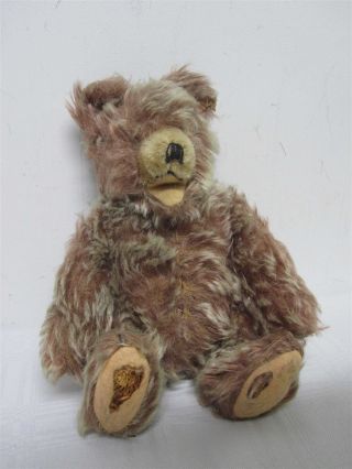 Vintage German Steiff Soft Furry " Zotty " Teddy Bear 8 3/4 " Needs Tlc