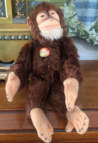 Vintage Steiff Jointed Mohair Jocko Monkey Chimpanzee 10” W/ Tag
