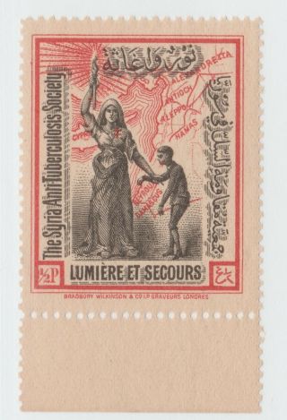 Syria Revenue Fiscal Cinderella Stamp 11 - 10 - 21 Mnh Gum Large Format Extra