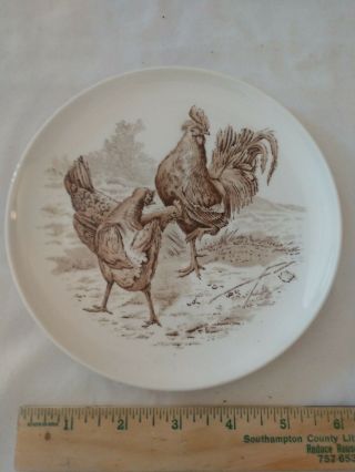 Vintage Copeland Spode England Plate 6 1/2 " Wild Game Birds - Cock & Hens 20