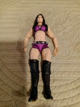 Wwe Female Wrestler Paige Action Figure.