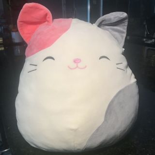 Large Squishmallow Karina The Cat Pink Gray 16 " Plush Pillow Soft Squeeze Pet