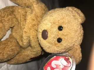 CURLY RARE 1st EDITION TY BEANIE BABY IS IN WITH ERRORS. 2