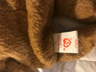CURLY RARE 1st EDITION TY BEANIE BABY IS IN WITH ERRORS. 3