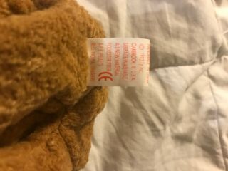 CURLY RARE 1st EDITION TY BEANIE BABY IS IN WITH ERRORS. 4