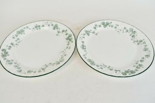 Set Of 2 Corelle By Corning Dinner Plates Pattern Callaway Ivy Microwavable
