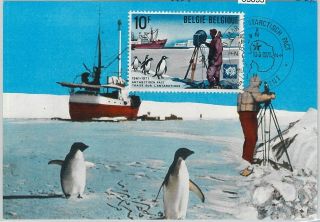 63853 - Belgium - Postal History: Maximum Card 1971 - Polar Birds Antarctic