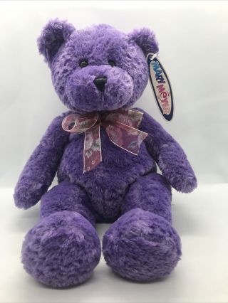 Vintage 1999 Mary Meyer Teddy Bear Silk E Bear 13 " Plush Stuffed Animal