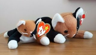 Set Ty Beanie Babies Chip The Cat Born 1996 & Chip Teenie Beanie With Tags