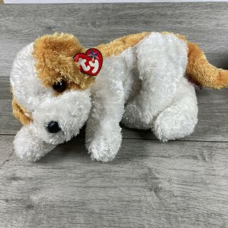 Ty Beanie Buddy Darling The Puppy Dog 12 " White & Gold Terrier Plush Stuffed Toy