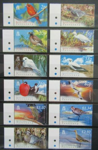 2004 Vf Mnh Set British Indian Ocean Ter.  Wildlife Birds Gb Uk B419.  24 St.  $0.  99