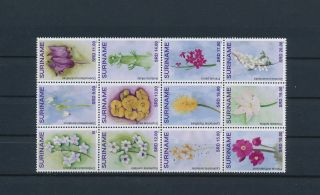 Lo75351 Suriname Plants Flora Flowers Fine Lot Mnh