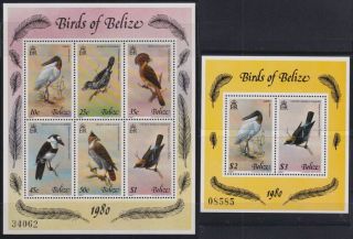 F - Ex27619 Belice Mnh 1980 Definitive Set Bird Oiseaux Pajaros Aves.