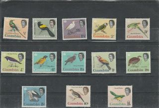 Gambia 1963 Birds Set Mnh Vf