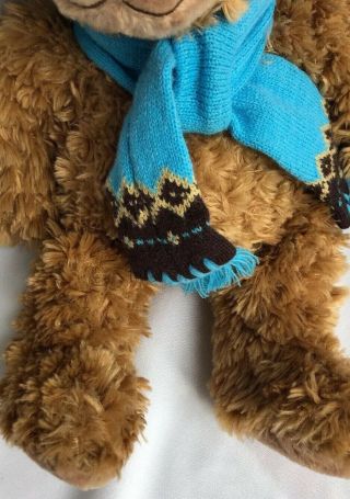 Mary Meyer Teddy Bear Plush With Blue Scarf And Hat 17” Very Soft 3