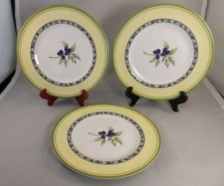 Set Of 3 Royal Doulton Carmina Melamine Salad Plates